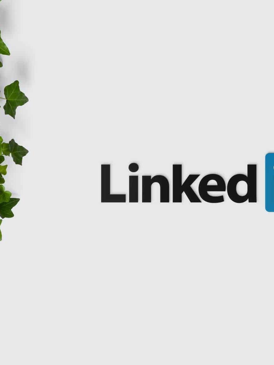 לינקדאין (LinkedIn) - מה ניתן להפיק מהפלטפורמה הזאת